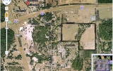 Mount Olive Rd Polk City, FL 33868 - Image 44638