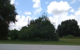 16051 Villa City Rd Groveland, FL 34736 - Image 72660