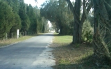 CR313 Bushnell, FL 33513 - Image 73480