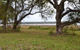 Villa City Rd. Groveland, FL 34736 - Image 116019