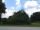 16051 Villa City Rd Groveland, FL 34736 - Image 131040