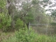 40868 US Highway 27 Davenport, FL 33837 - Image 181132