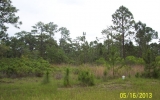 Lot 97 The Refuge At Panace Panacea, FL 32346 - Image 261768