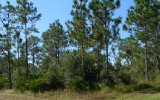 Lot 6 Daytona Dr Indian Lake Estates, FL 33855 - Image 262088