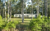 4235 Flagler Estat Hastings, FL 32145 - Image 1661323