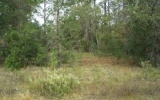 100 59th Ln Dunnellon, FL 34431 - Image 2037682