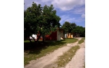 18500 SW 134 AV Miami, FL 33177 - Image 3409021