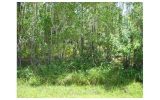 0 N 78TH PL N Loxahatchee, FL 33470 - Image 3495043