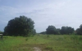 19119 GERACI RD Lutz, FL 33558 - Image 3511202