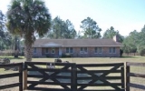 16300 Ne 148th Terrace Rd Fort Mc Coy, FL 32134 - Image 3640221