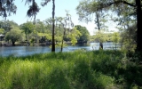 NW 117th Place Branford, FL 32008 - Image 3971105