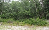 0 Gorbutt Rd Crescent City, FL 32112 - Image 3972394