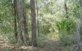 171 Oak Run Rd Crescent City, FL 32112 - Image 3972395