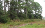 00 Hayes Avenue Lot 12 Crescent City, FL 32112 - Image 3972402