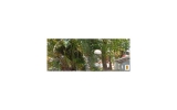 2201 N 54TH AV Hollywood, FL 33021 - Image 6014420