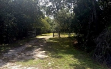 3437 MAR LISA COVE RD Lake Wales, FL 33898 - Image 6381307