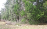 Lot 3 NE 51st Place Williston, FL 32696 - Image 7383797