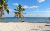 75831 Overseas Highway Islamorada, FL 33036 - Image 7756829