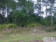 Lucy Ln S Lot 6 & 7 Panacea, FL 32346 - Image 8175288