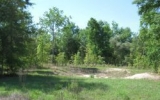 LOT 12 NE 48th Court High Springs, FL 32643 - Image 8313439