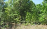 LOT 1 NE 48th Court High Springs, FL 32643 - Image 8329948