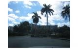 200 LESLIE DR # 217 Hallandale, FL 33009 - Image 9911326