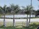 145 Horseshoe Terra Ceia, FL 34250 - Image 11452040