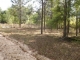 Hwy 90 134th Pl Wellborn, FL 32094 - Image 11702869