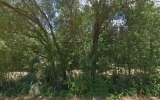 245Th Street Fort Mc Coy, FL 32134 - Image 11828998