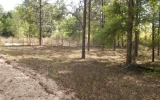 Hwy 90 134th Pl Wellborn, FL 32094 - Image 11891820