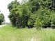 TBD SW CR 143 Jasper, FL 32052 - Image 11907286