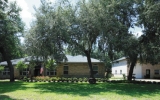 5936 NE 63 ST Silver Springs, FL 34488 - Image 12000006