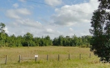 U S Highway 17 Pierson, FL 32180 - Image 12420459