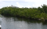 Lot 18 Barbados Lane Summerland Key, FL 33042 - Image 12550053