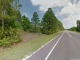 State Road 100 Florahome, FL 32140 - Image 13271256