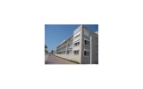 201 VAN BUREN ST # 207 Hollywood, FL 33019 - Image 13391905