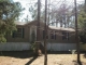 3155 Ries Rd. Laurel Hill, FL 32567 - Image 13520564