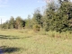 TBD NW SR 6 WEST Jasper, FL 32052 - Image 13787053