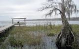 1800 Lake Disston Dr Bunnell, FL 32110 - Image 13896562