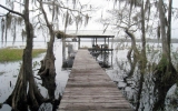 1870 Lake Disston Dr Bunnell, FL 32110 - Image 13896563