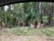 0 Avocado Blvd Bunnell, FL 32110 - Image 14025203