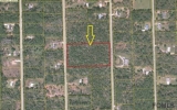 0 Hickory Ct Bunnell, FL 32110 - Image 14027391